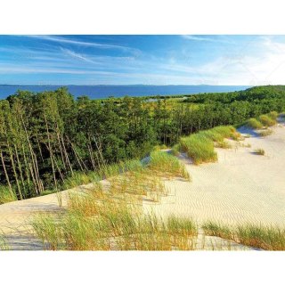 Kalendarz ścienny LASY POLSKIE 13-planszowe 2024 320mm x 470mm Lucrum (RW04)