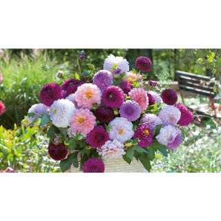 Kalendarz ścienny notatnikowy 2024 KOMPOZYCJA KWIATOWE 220mm x 490mm Lucrum (WN02)