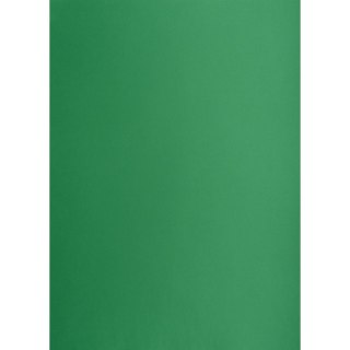 Brystol zielony ciemny B2 zielony 225g 25k Creatinio (400150339)