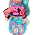 Lalka Mattel Monster High podstawowa (HPD53)