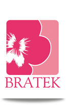 Bratek